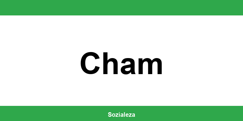 Versorgungsamt Cham - Telefonnummer und Formulare