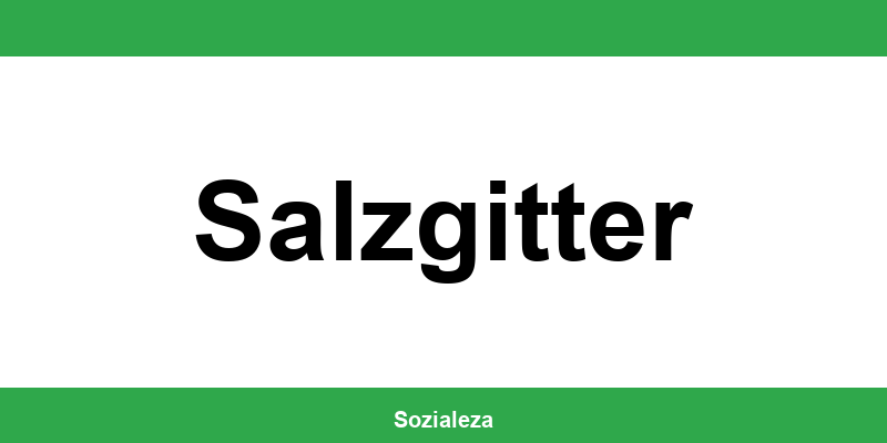 Versorgungsamt Salzgitter - Telefonnummer und Formulare