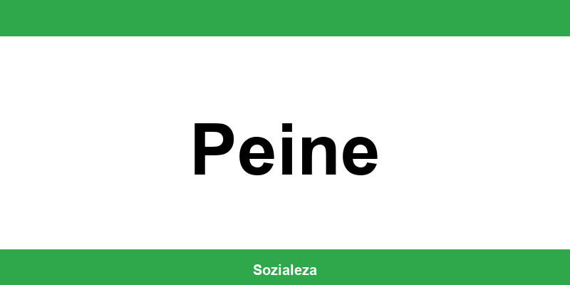 Versorgungsamt Peine - Telefonnummer und Formulare